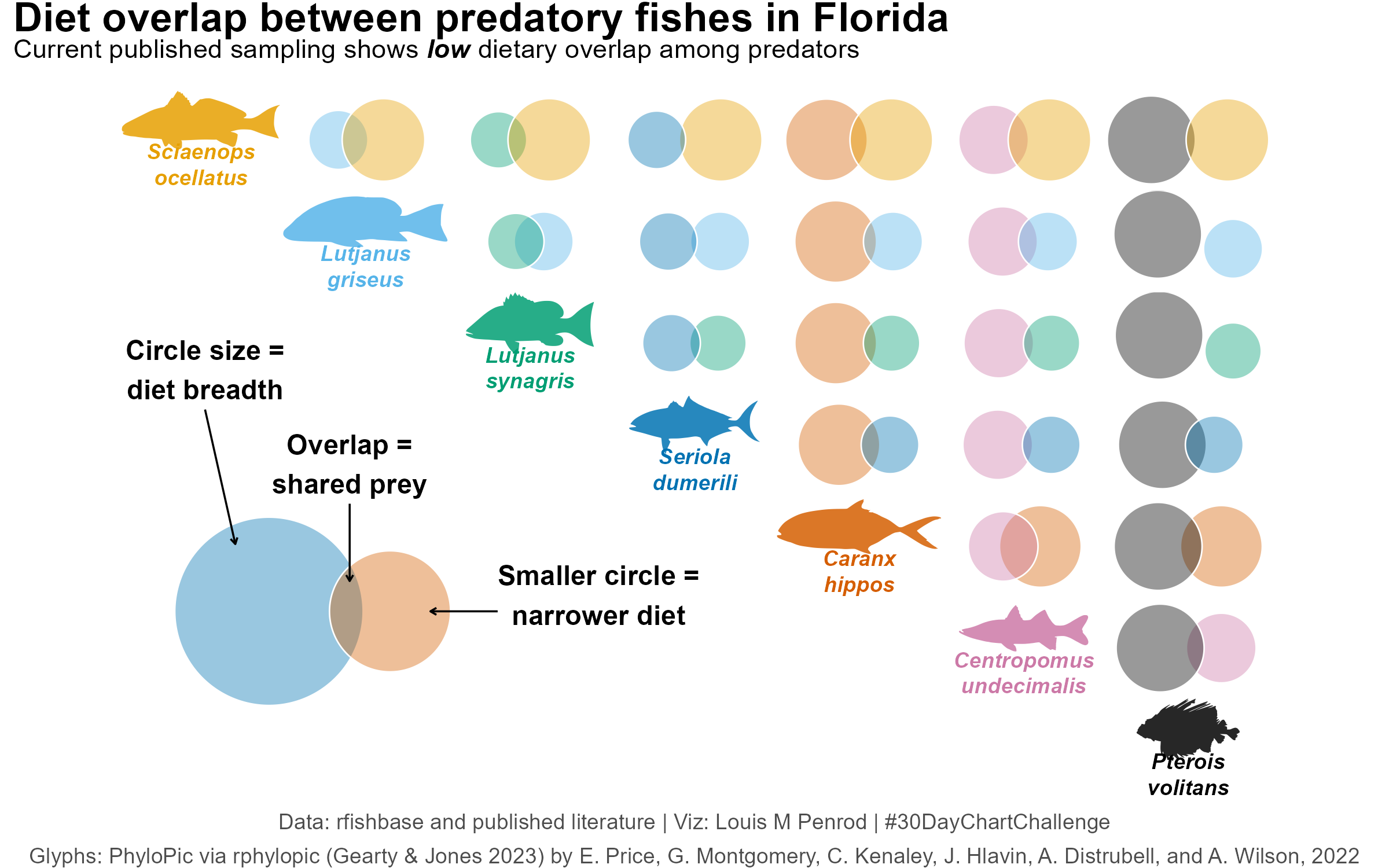 Eulerr diagrams set up in a matrix arrangement showing diet overlap of predatory fishes in Florida. The size of the circle shows the size of the diet (scaled to the max diet size so the circle size is the same across plot for the same species). The overlap shows the proportion of prey shared. Very little overlap among species but that is a data shortage issue.